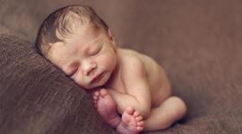 Timeline: Toddler Timeline