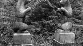 Timeline: Pennock Island South Graveyard