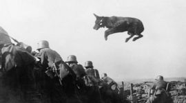 Timeline: WWI Timeline for 4B Scaturo