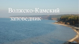 Timeline: Волжско-Камский заповедник