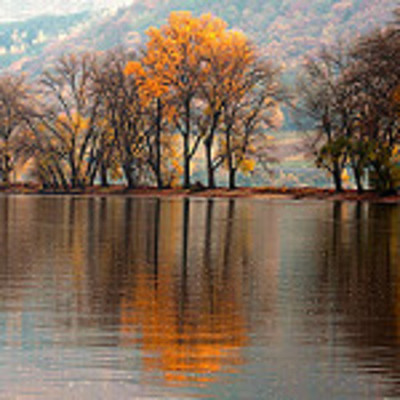 Timeline: Plan de Vida Estudiantil