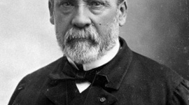 Timeline: Louis Pasteur