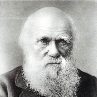 Timeline: Charles Darwin Timeline