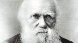 Timeline: Charles Darwin Timeline
