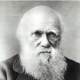 Charles darwin
