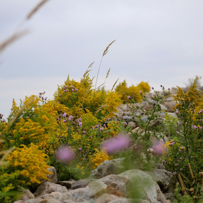 Timeline: Lifetime Personal Health