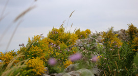 Timeline: Lifetime Personal Health