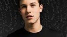 Timeline: Shawn Mendes
