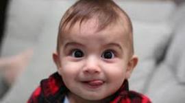 Timeline: Toddlers Project