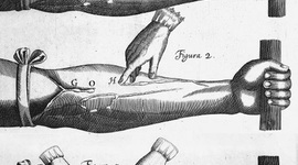 Timeline: History of Medicine: 16th Century - 18th Century