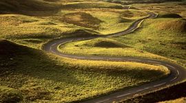 Timeline: Rachael McDonald