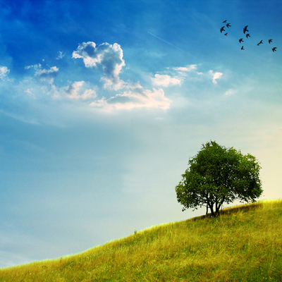 Timeline: Лента биографии Ермила Ивановича Кострова