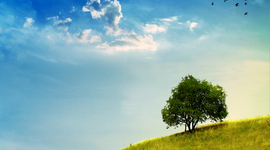 Timeline: Лента биографии Ермила Ивановича Кострова