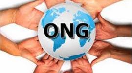 Timeline: Besteen zerbitzura eta O.N.G.ak