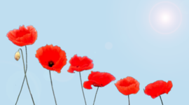 Timeline: History of Gifted Education