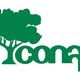 Logo conaf arbol