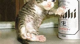 Timeline: The Book Thief