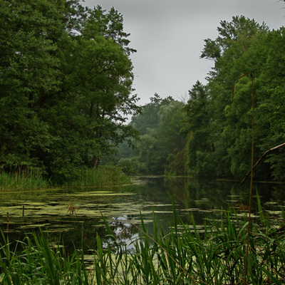 Timeline: Воронежский заповедник