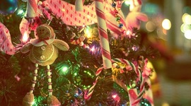 Timeline: Πορεία μέχρι τα Χριστούγεννα