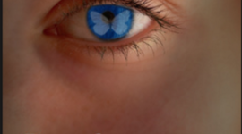 Timeline: Perfection