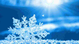 Timeline: Останнія місяць зими?