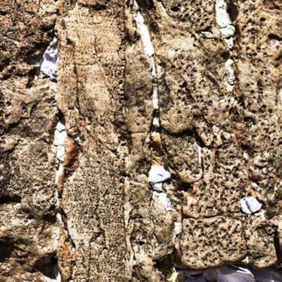 Timeline: Personal Narrative