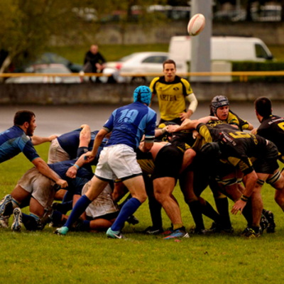 Timeline: Jornadas División de Honor 2015-2016