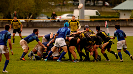 Timeline: Jornadas División de Honor 2015-2016