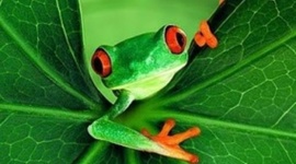 Timeline: El origen de la vida