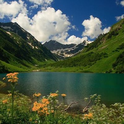 Timeline: Кавказский заповедник