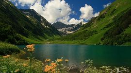 Timeline: Кавказский заповедник