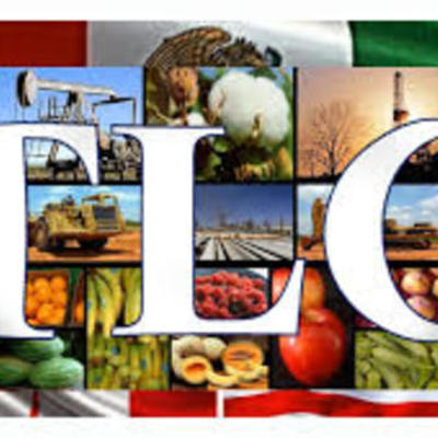 Timeline: MÉXICO SIN FRONTERAS ECONOMICAS