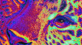 Timeline: Lampson ES in 2020