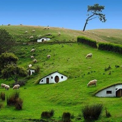 Timeline: history of New Zealand