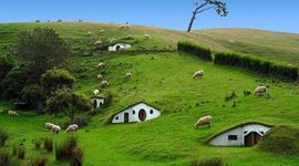 Timeline: history of New Zealand