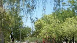 Timeline: History of Treatment of Exceptional Learners