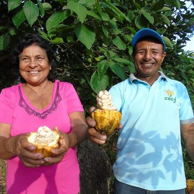 Timeline: APPROCAP: Nuestra historia