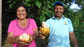 Timeline: APPROCAP: Nuestra historia