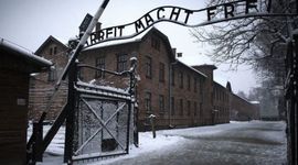 Timeline: Maus Timeline