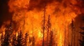 Timeline: "Worst Wildfires in US History"- MNN (Domestic)