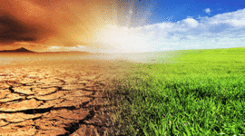 Timeline: Environmental History