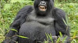 Timeline: TIME TOAST