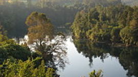 Timeline: "La presa de la discordia"