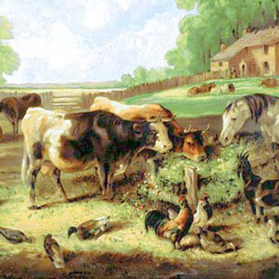 Timeline: The 13 Colonies