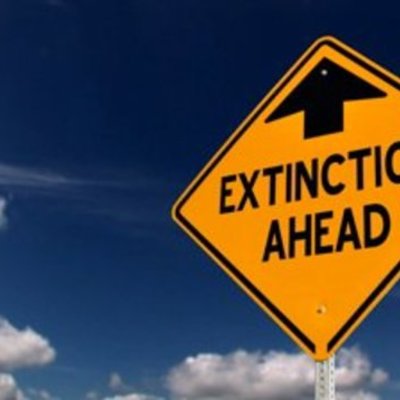 Timeline: When Will Sertin Species Go Extinct