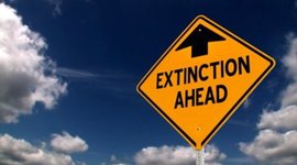 Timeline: When Will Sertin Species Go Extinct