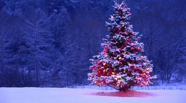 Timeline: ΠΟΡΕΙΑ ΓΙΑ ΤΑ  ΧΡΙΣΤΟΥΓΕΝΝΑ