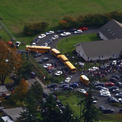 Timeline: We Didn't Create a Monster- Domestic