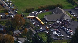 Timeline: We Didn't Create a Monster- Domestic