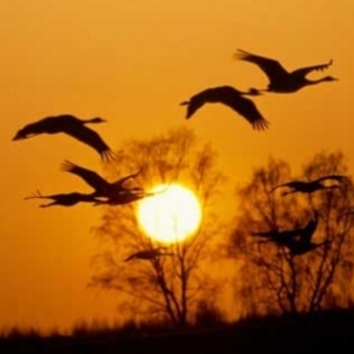 Timeline: 4. unitatea pausoka